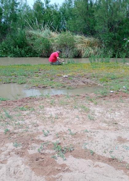 C:\Users\Usuario\Desktop\BACKUP LEANDRO 2024\ESCRITORIO\peu casa de piedra\PEU en clave internacional\Fotos viaje congreso chillen chile 2024\RINCON DE LOS SAUCES\el arbolito\dcfb6576-2eb1-43a1-84ea-883d7238df95.jpeg