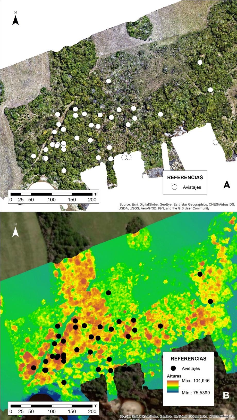Mapa

El contenido generado por IA puede ser incorrecto.