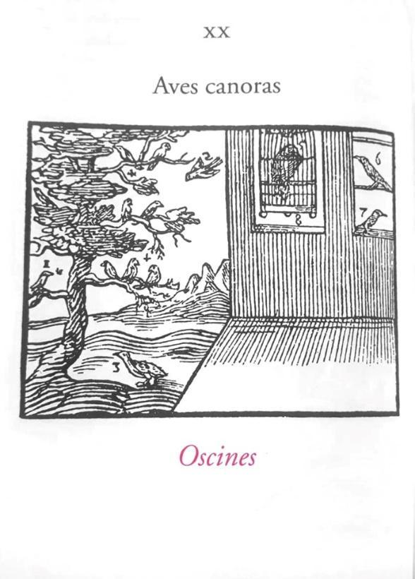 a05fig5.jpg