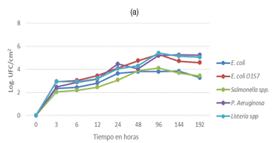 Gráfico, Gráfico de líneas

Descripción generada automáticamente