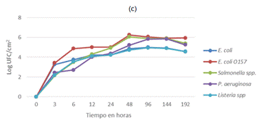 Imagen que contiene foto

Descripci&oacute;n generada autom&aacute;ticamente