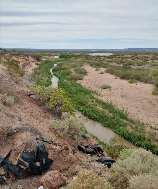 C:\Users\Usuario\Desktop\BACKUP LEANDRO 2024\ESCRITORIO\peu casa de piedra\PEU en clave internacional\Fotos viaje congreso chillen chile 2024\RINCON DE LOS SAUCES\el arbolito\b167af0c-07ec-4e4c-ac42-96ed432654a3.jpeg