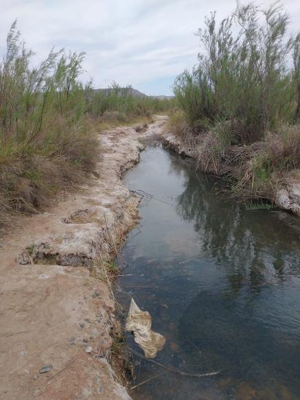 C:\Users\Usuario\Desktop\BACKUP LEANDRO 2024\ESCRITORIO\peu casa de piedra\PEU en clave internacional\Fotos viaje congreso chillen chile 2024\RINCON DE LOS SAUCES\el arbolito\55b00de4-870e-4b9f-8523-c5c941e259fa.jpeg