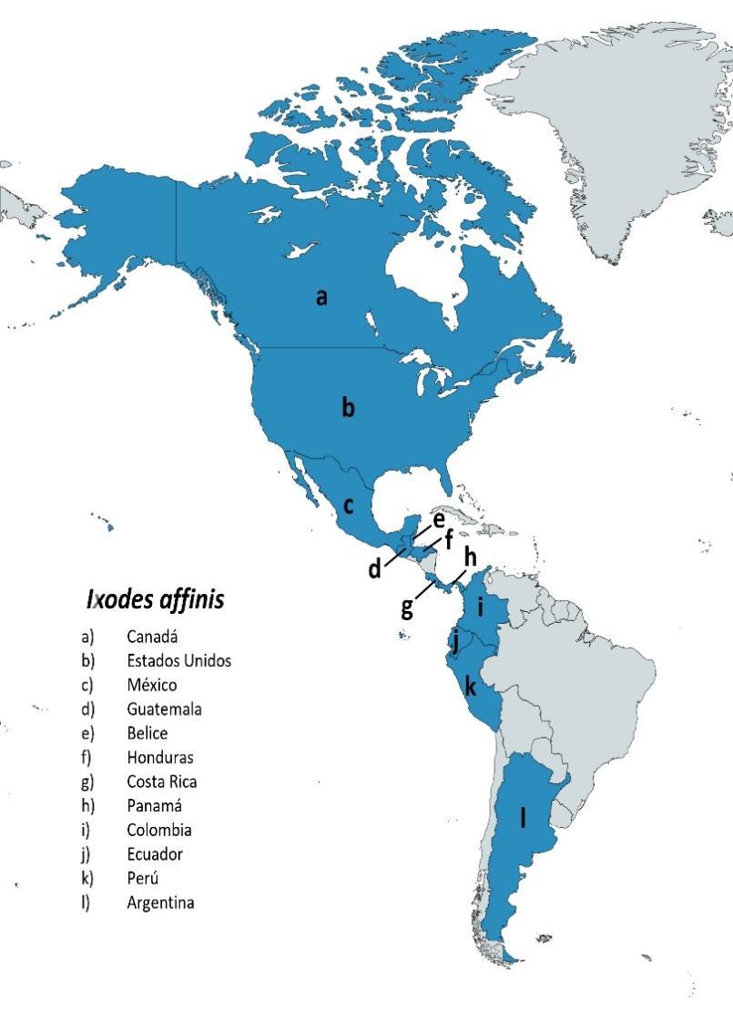 Mapa

Descripción generada automáticamente