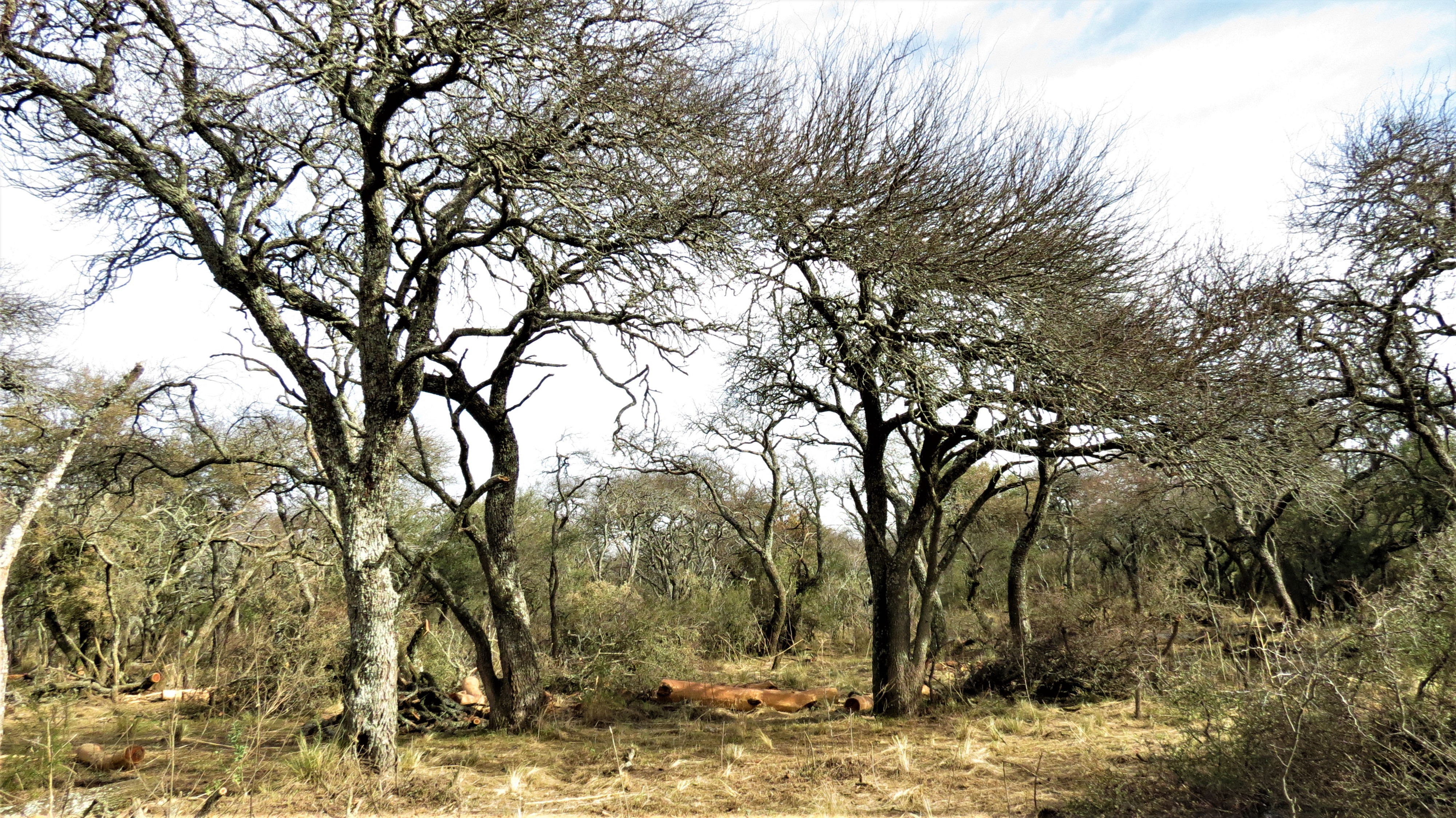 Intervenciones (fotografía: E. F. A. Morici)